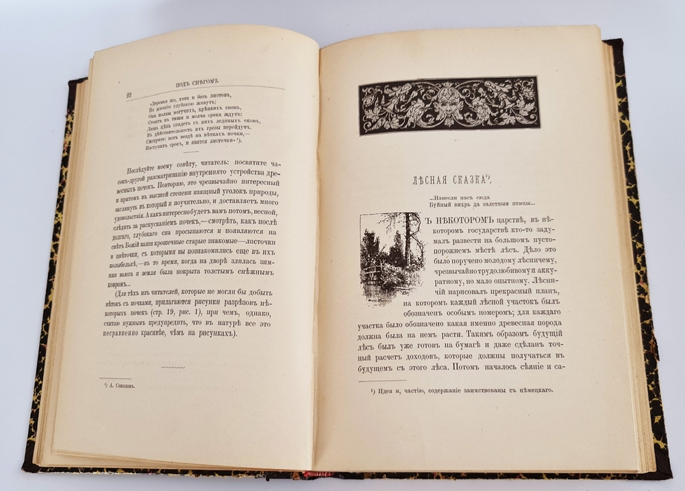"Из зеленого царства. Популярные очерки из мира растений". Д.Н.Кайгородов. 1902г.