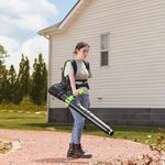 Ранцевая воздуходувка аккумуляторная Greenworks Арт. 2408107UB, 40V, бесщеточный, с АКБ 4Ач и ЗУ.