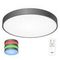Потолочный светодиодный светильник с пультом ДУ Citilux Купер RGB Черный CL724105G1