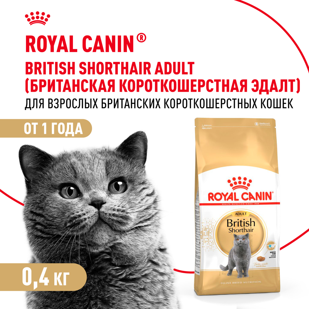 Royal Canin British Shorthair Adult Корм сухой для взрослых британских кошек 0,4кг