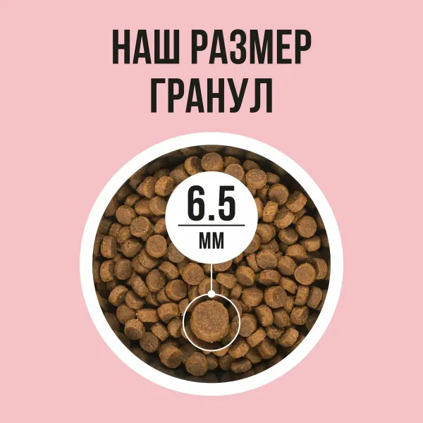 Сухой корм BOWL WOW для взрослых кошек с индейкой и яблоком