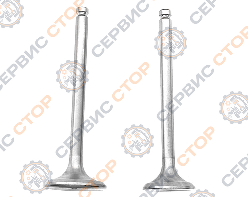 Клапаны впуск/выпуск TY295