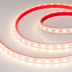 Светодиодная лента герметичная RTW-PS-B60-12mm 12V Warm3000 (14.4 W/m, IP67, 5060, 5m) (Arlight, 14.4 Вт/м, IP67) 022325(2)