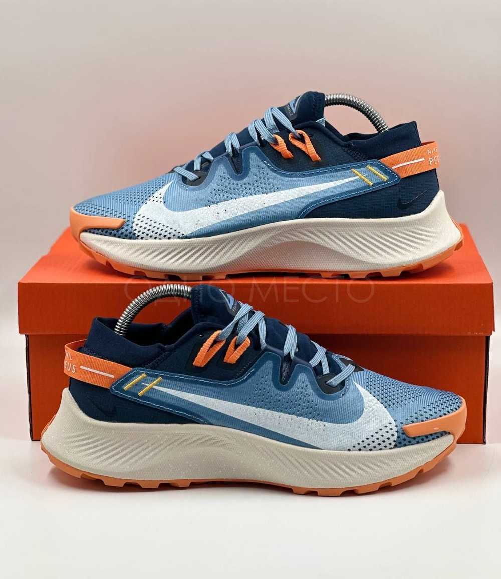 Nike Pegasus Trail 2