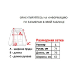 Зип-худи Emerica