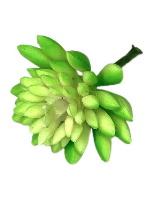 Суккулент микро 125