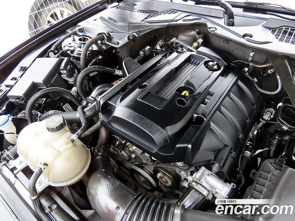 Ford Mustang Convertible (11.2021)