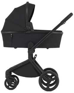 Детская коляска Anex Flo 2 в 1 Lungo