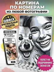 Картина по номерам из любой фотографии QBRIX ПОЛНОЦВЕТ 30Х40