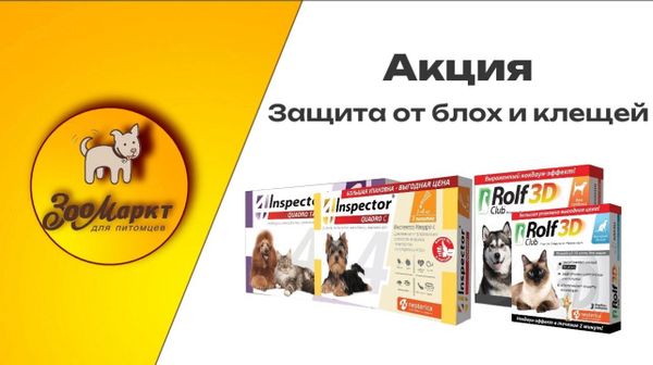 Завершение акция на защиту от блох и клещей