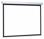 Экран  Cactus CS-PSW-168X299