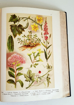 "Ботанический атлас. Описание и изображение растений Русской Флоры". Составил Н.А. Монтеверде, главный ботаник Имп. Ботанического сада Петра Первого. 1906 г. - редкая книга