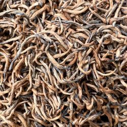 Цзинь Цзюнь Мэй Хуан Я (Золотые брови из желтых почек) банка 250г