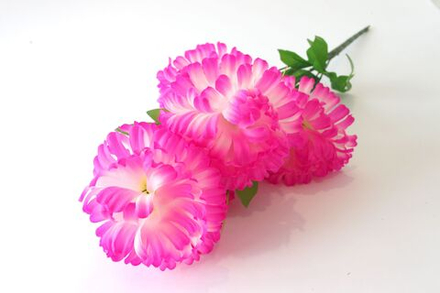 Букет хризантем шар 6 голов