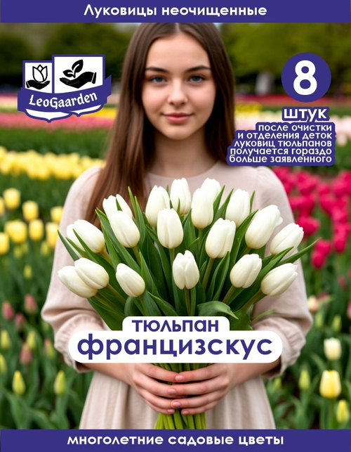 Тюльпан Луковица, Францискус, 8+ шт