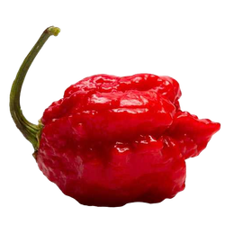 Каролина Рипер (Carolina Reaper) в ассортименте