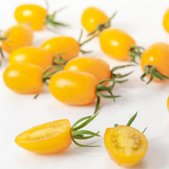 Кэнди F1 семена томата индетерминантного (Гавриш)