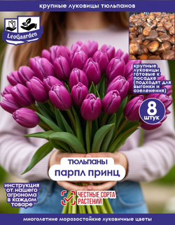 Тюльпан Луковица, Парпл Принц 8 шт