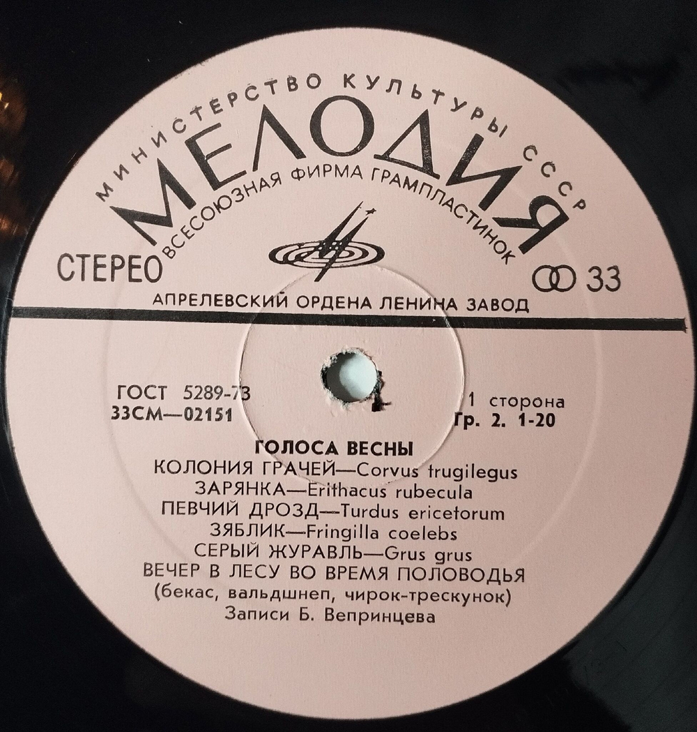 Винтажная виниловая пластинка LP Пение Птиц Голоса Весны Voices Of Spring (СССР 1979)