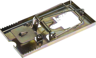 STAYER 115х60 мм, средняя, металлическая, мышеловка (40490-M)