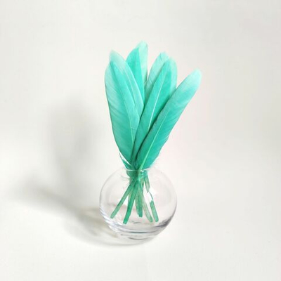 Перья утки мятные 15 шт.