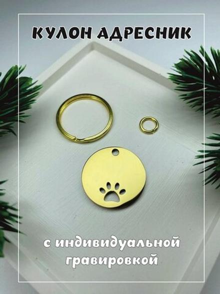 Кулон адресник, хромированный, с лапой, круглый, золотой
