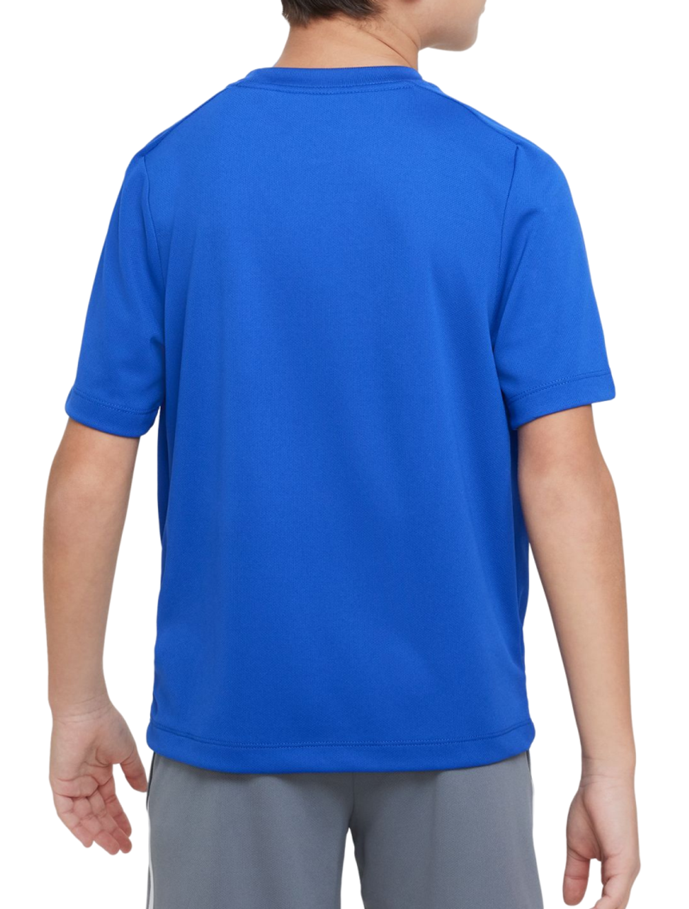 Футболка для мальчика теннисная Nike Dri-Fit Multi+ Top - game royal/white