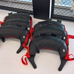 Болгарский мешок – профессиональный снаряд для комплексных тренировок