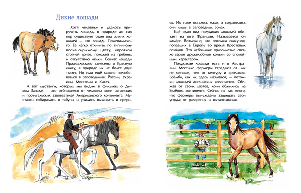 Кони. Дикие, благородные, знаменитые