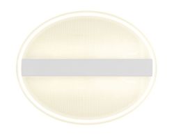 Ambrella Потолочный светодиодный светильник Pure FA606