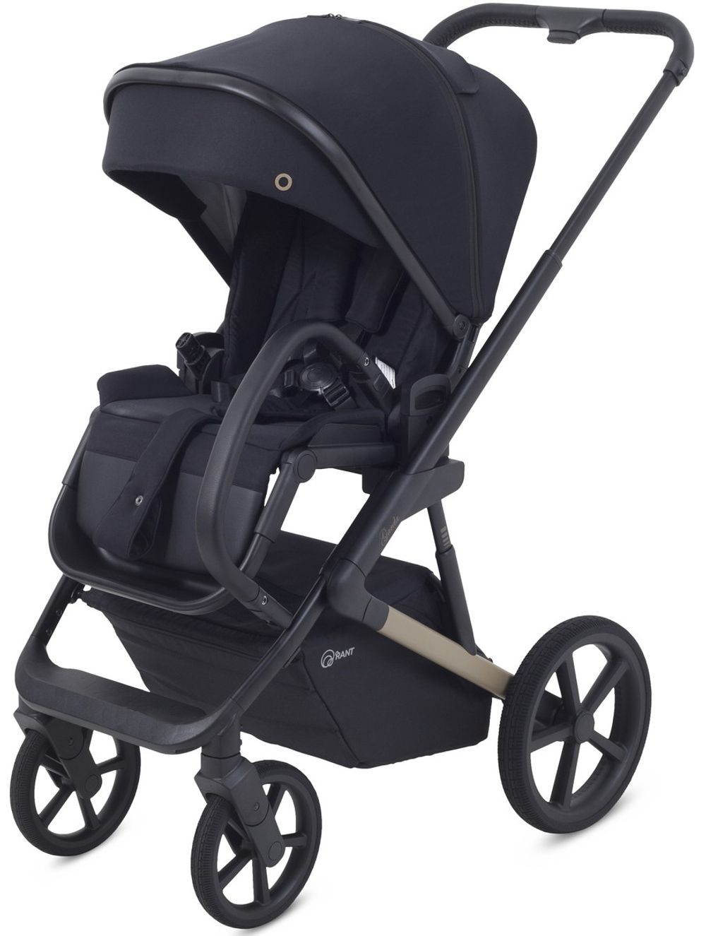 Детская коляска Rant Garda 2 в 1 Black
