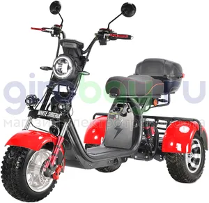 Электроскутер WHITE SIBERIA PRO TRIKE 3000W OFF-ROAD (Красный) фото №1