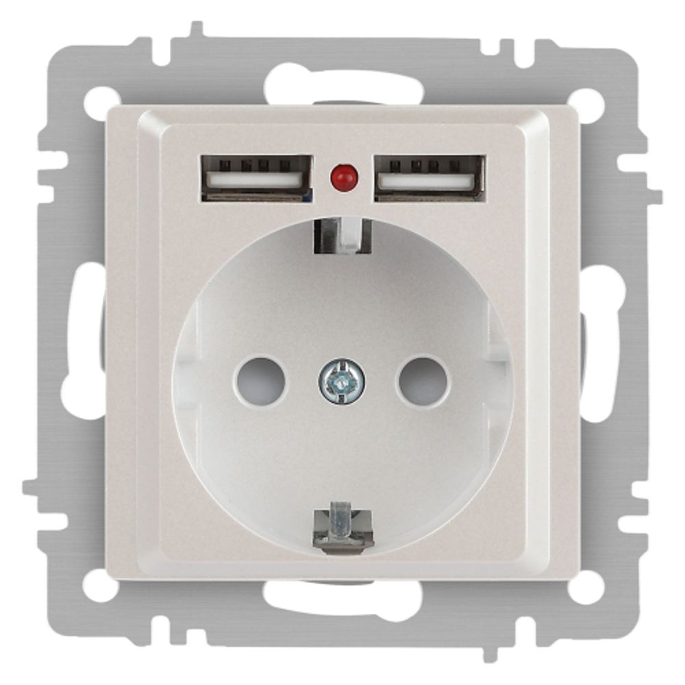 Розетка Intro Accent 6-410-06 с заземлением 2P+E Schuko со шторками 16А-250В + 2хUSB IP20 СУ перламутр