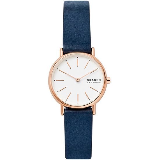 Женские часы Skagen SKW2838