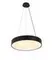 2541/400P BLACK (1) Подвесной светильник (RL)