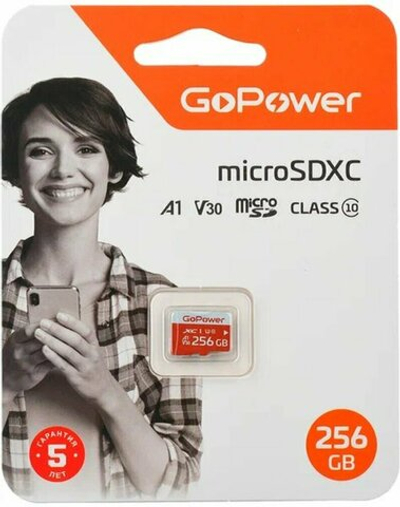 Карта памяти microSD GoPower 256GB Class10 UHS-I б/а