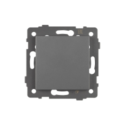 Механизм выключателя одноклавишный проходной SWT-MKP1-PL-GR-V (250V, 10A) (Arlight, -) 049873