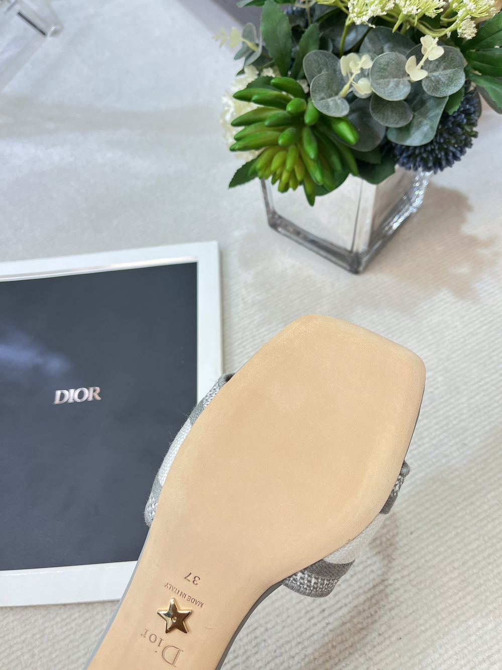 Christian Dior Dway Slide (11 colors)