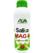 Salica Mag6