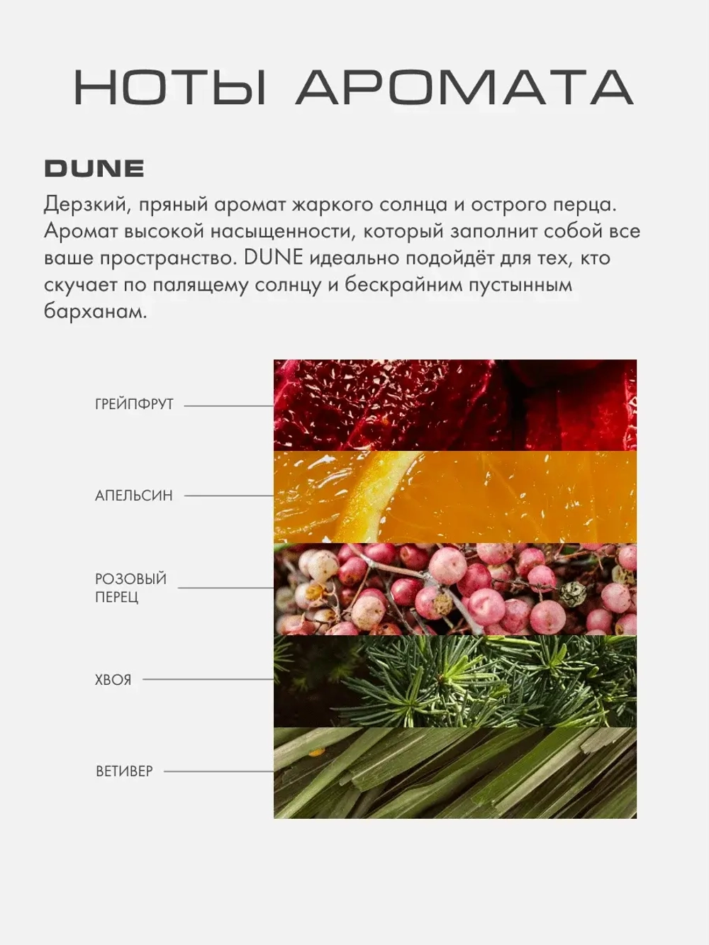 Dune L