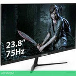 Монитор ExeGate ProSmart EV2407A EX294344RUS