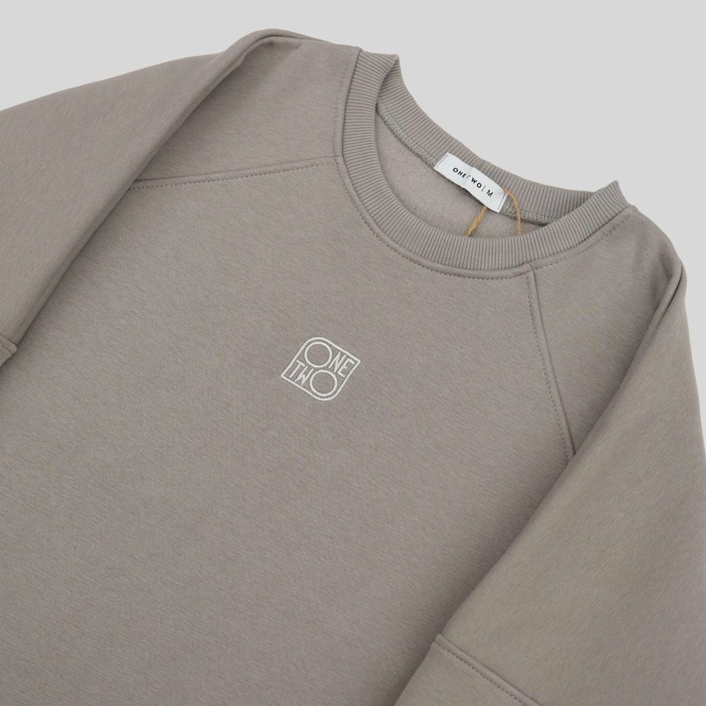 Толстовка ONE TWO "MULTICOLOR"  Реглан Начес Мокрый Снег