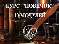 Курс «Новичок»