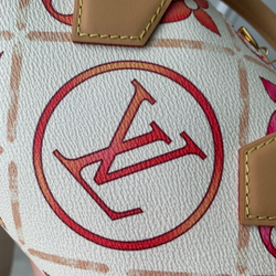 Louis Vuitton Speedy 20
