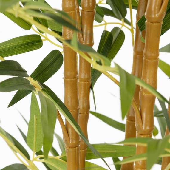 Бамбук высота 210 см, 5 стволов