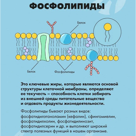Лецитин-гель с витаминами