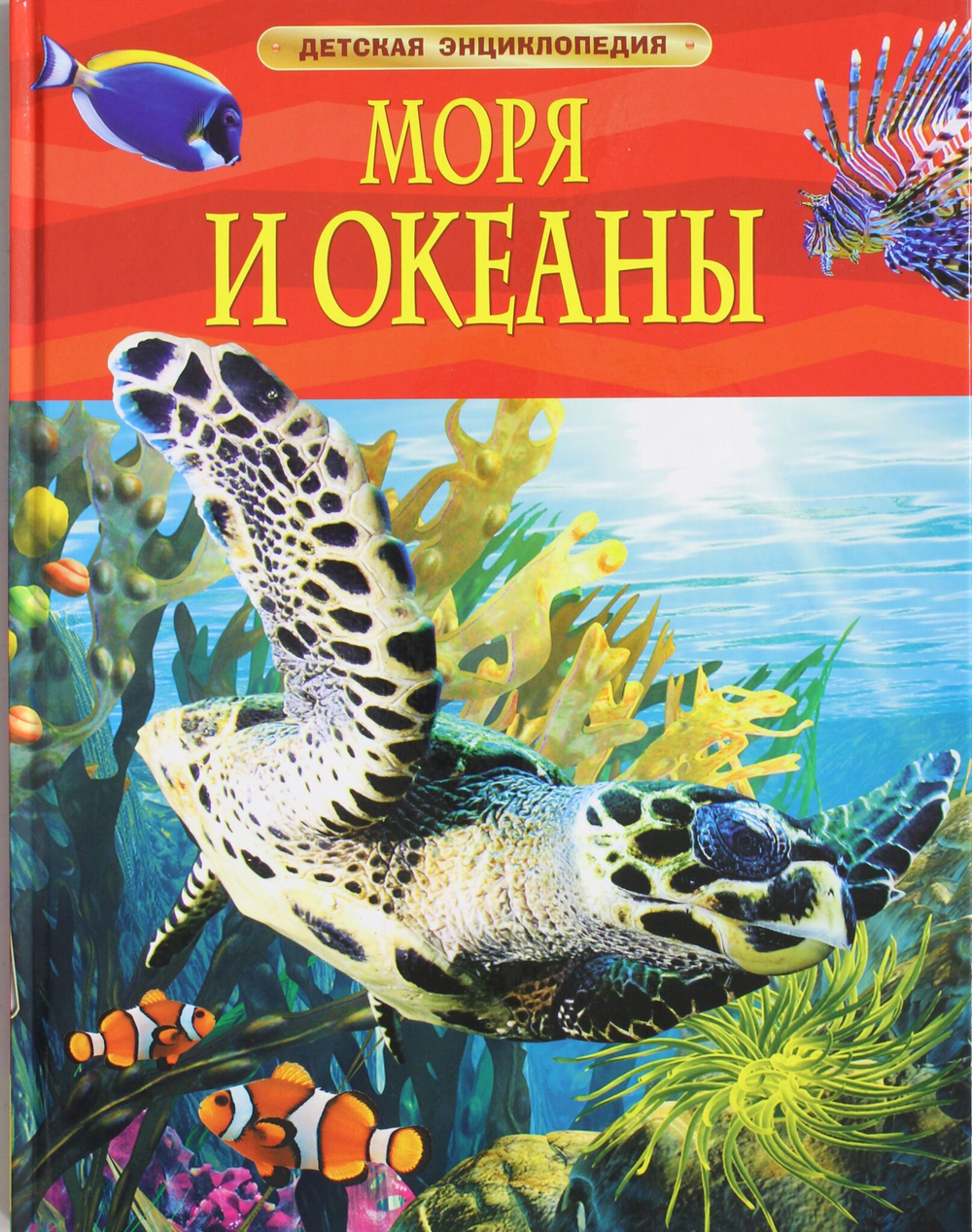 Моря и океаны.