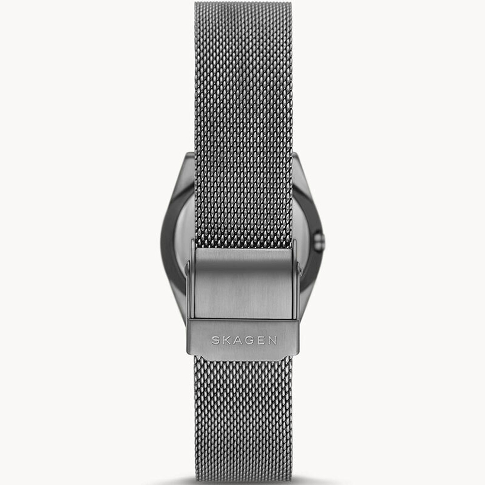 Женские наручные часы Skagen SKW3039