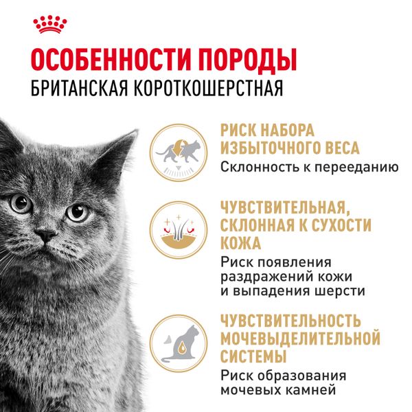 Пауч Royal Canin British Shorthair Adult для взрослых британских короткошерстных кошек, мелкие кусочки в соусе