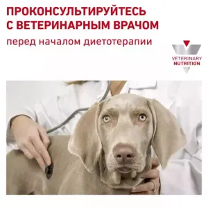 Консервы для собак, Royal Canin Satiety Weight Management Wet, при ожирении